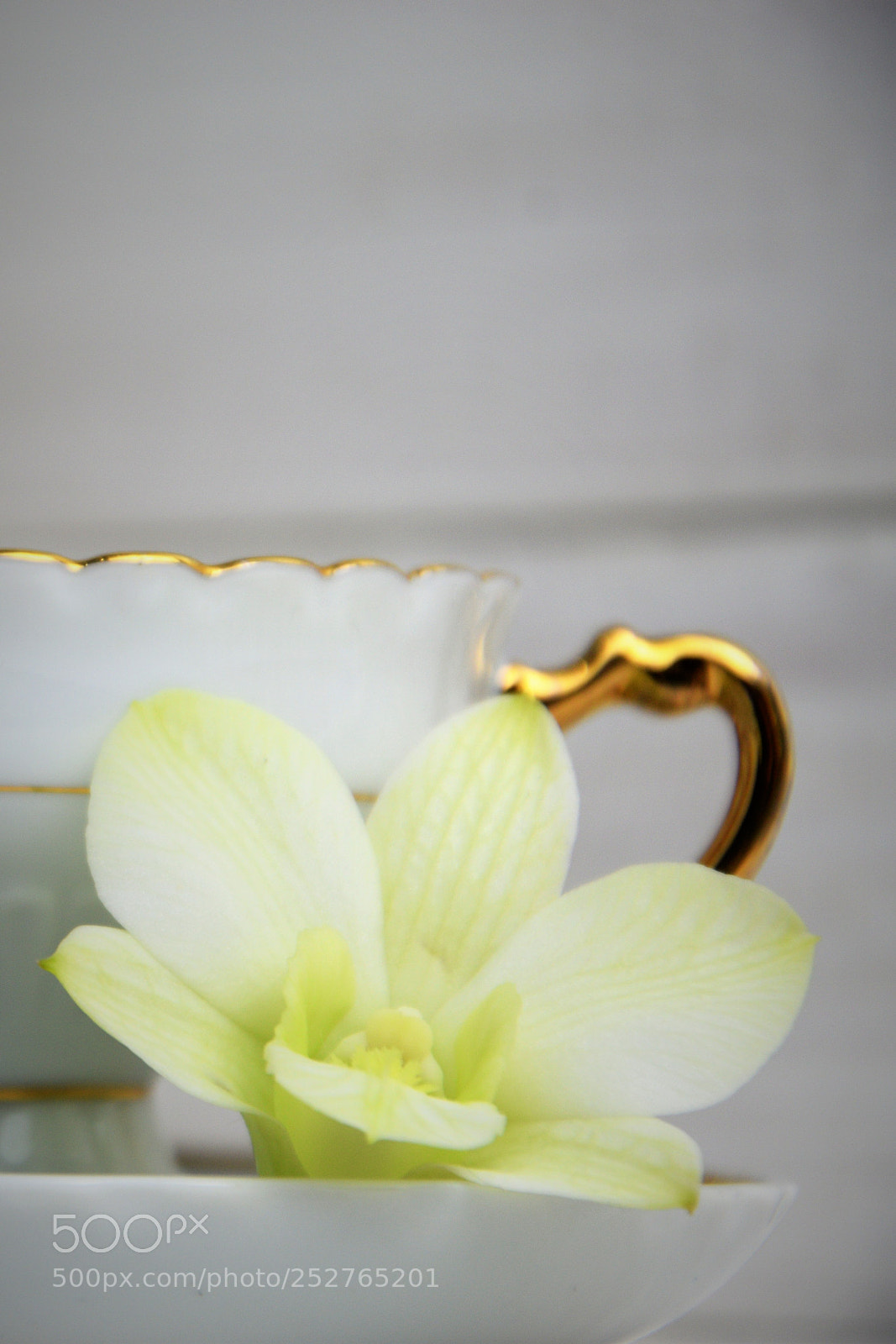 Nikon D3300 sample photo. A coffee cup of photography