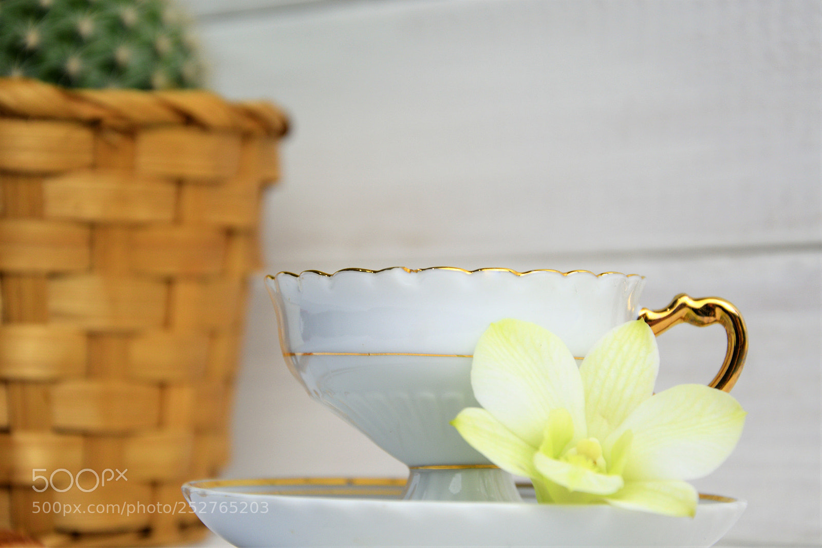 Nikon D3300 sample photo. A coffee cup with photography