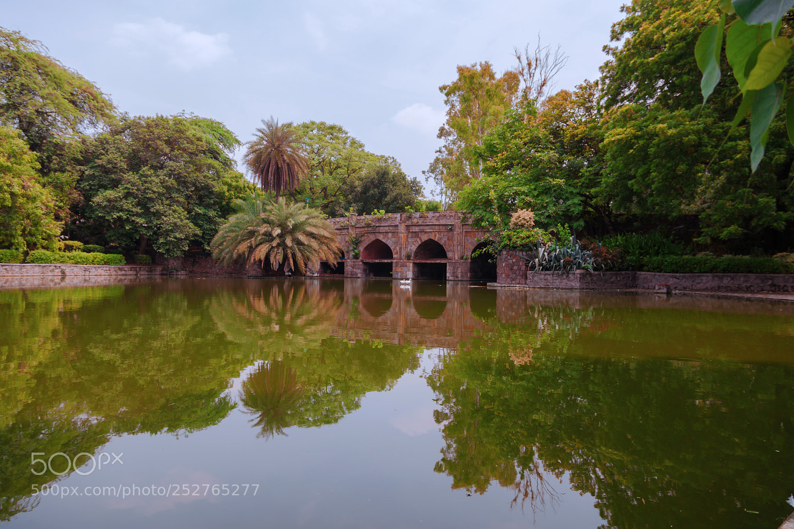 Canon EOS 5D Mark II sample photo. Reflection photography