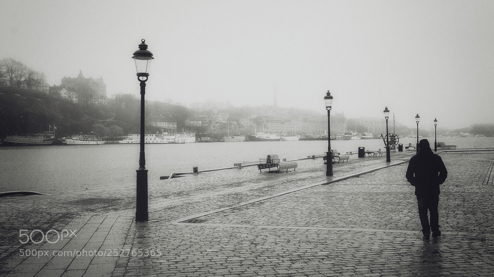 Canon EOS 20D sample photo. Foggy morning for a photography