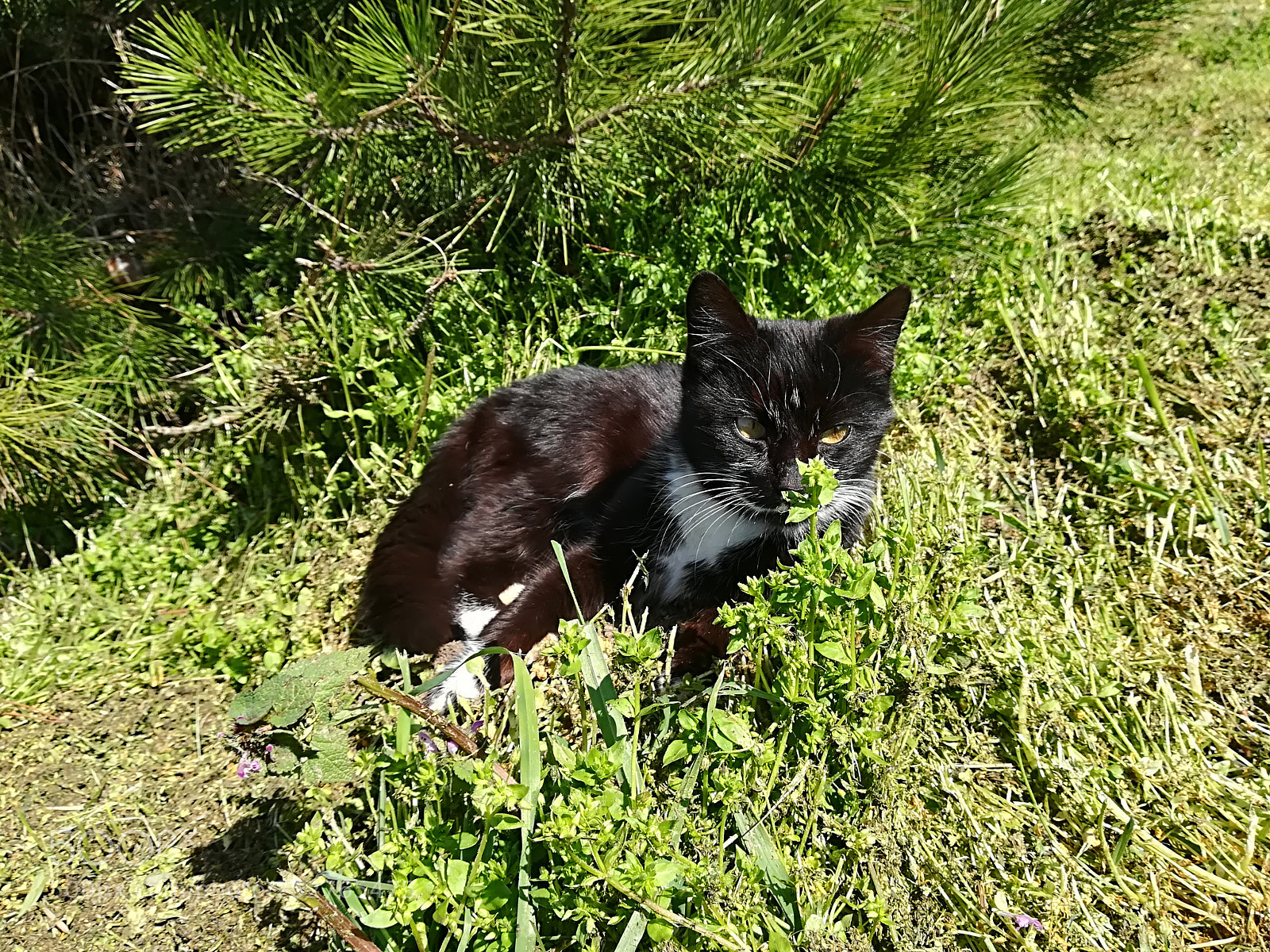 HUAWEI P10 lite sample photo. She likes spring too photography