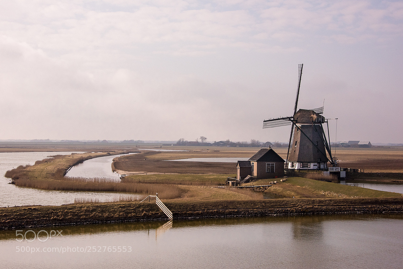 Nikon D810 sample photo. Dutch windmill photography