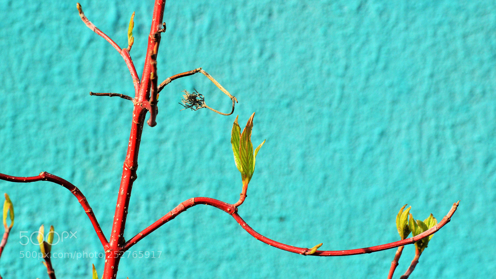 Nikon D3200 sample photo. Untitled photography