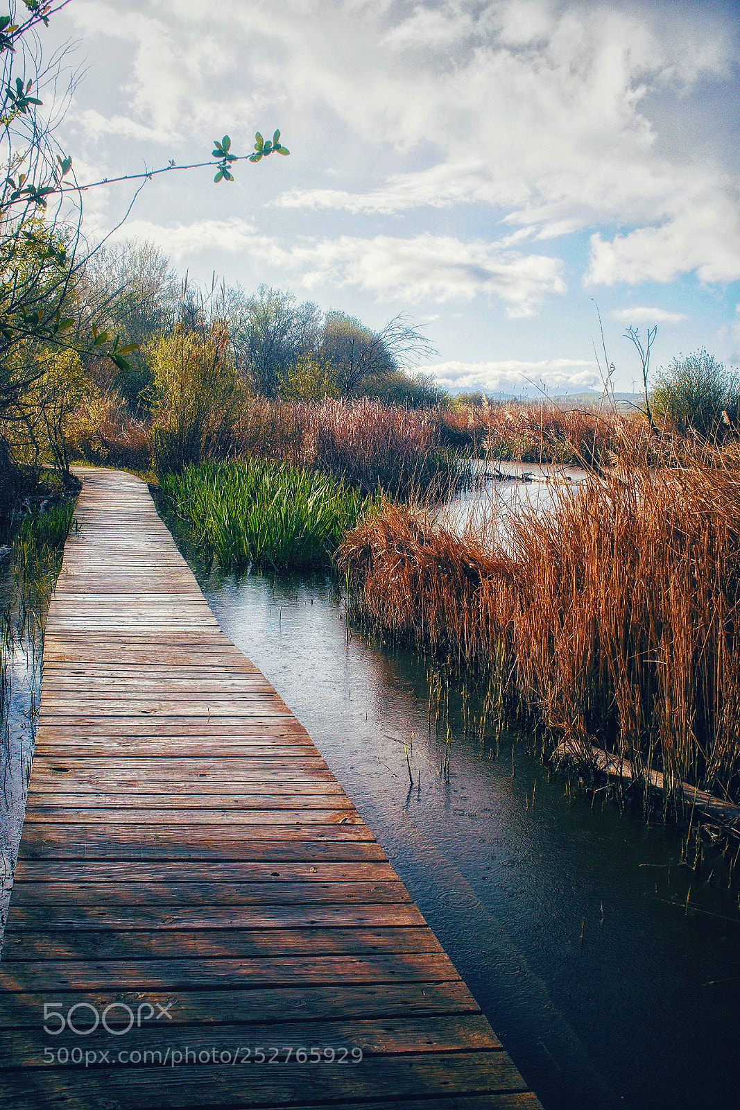 Olympus OM-D E-M5 II sample photo. Paseando bajo la lluvia. photography