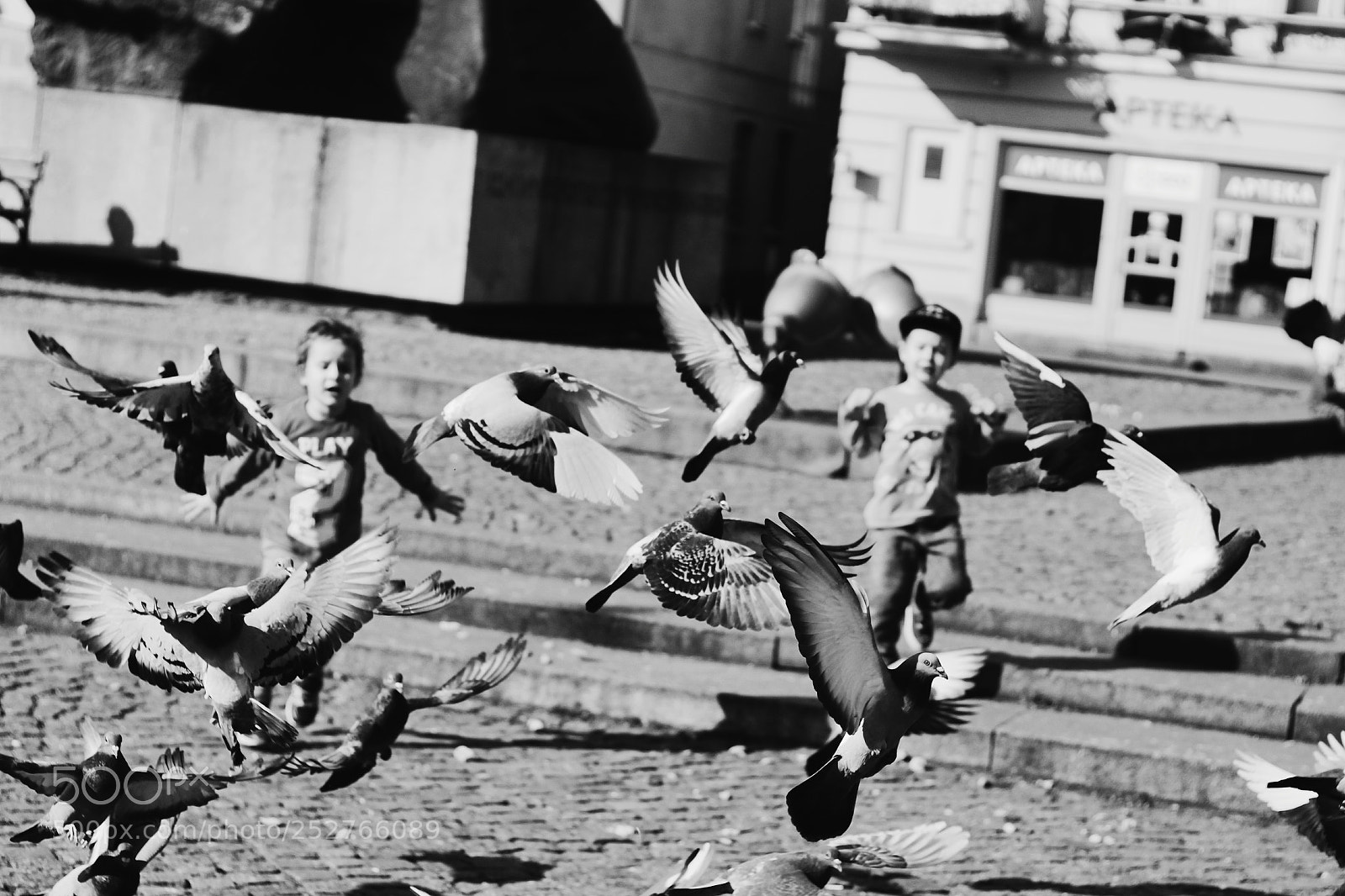 Canon EOS 1300D (EOS Rebel T6 / EOS Kiss X80) sample photo. Pigeons photography