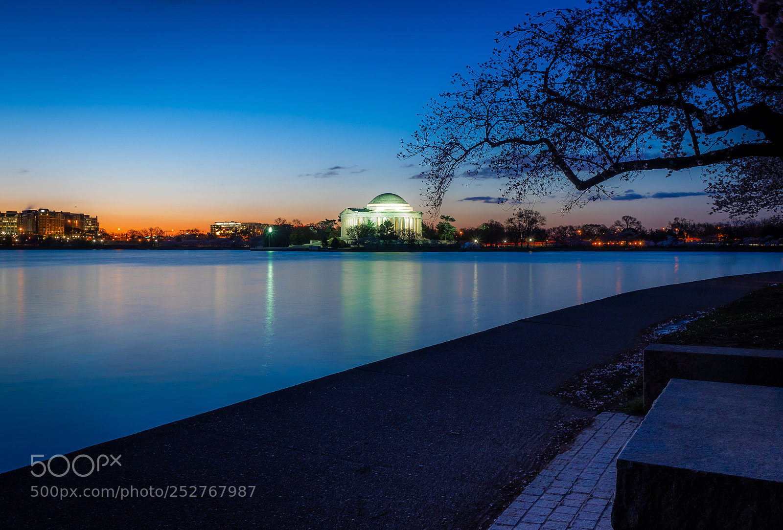 Olympus OM-D E-M1 sample photo. Blue hour @ tidal basin photography