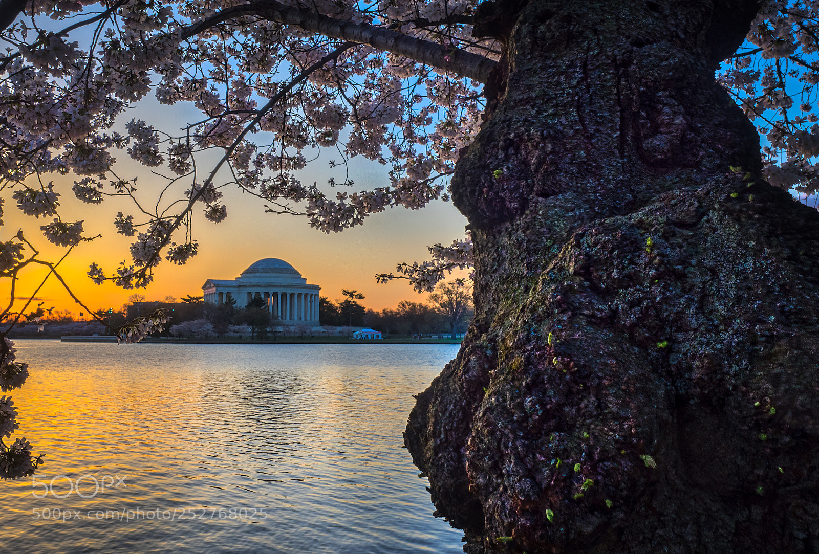 Olympus OM-D E-M1 sample photo. Sunrise - jefferson with photography