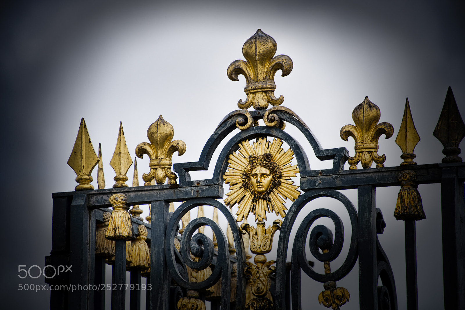 Nikon D810 sample photo. Versailles 2018 photography