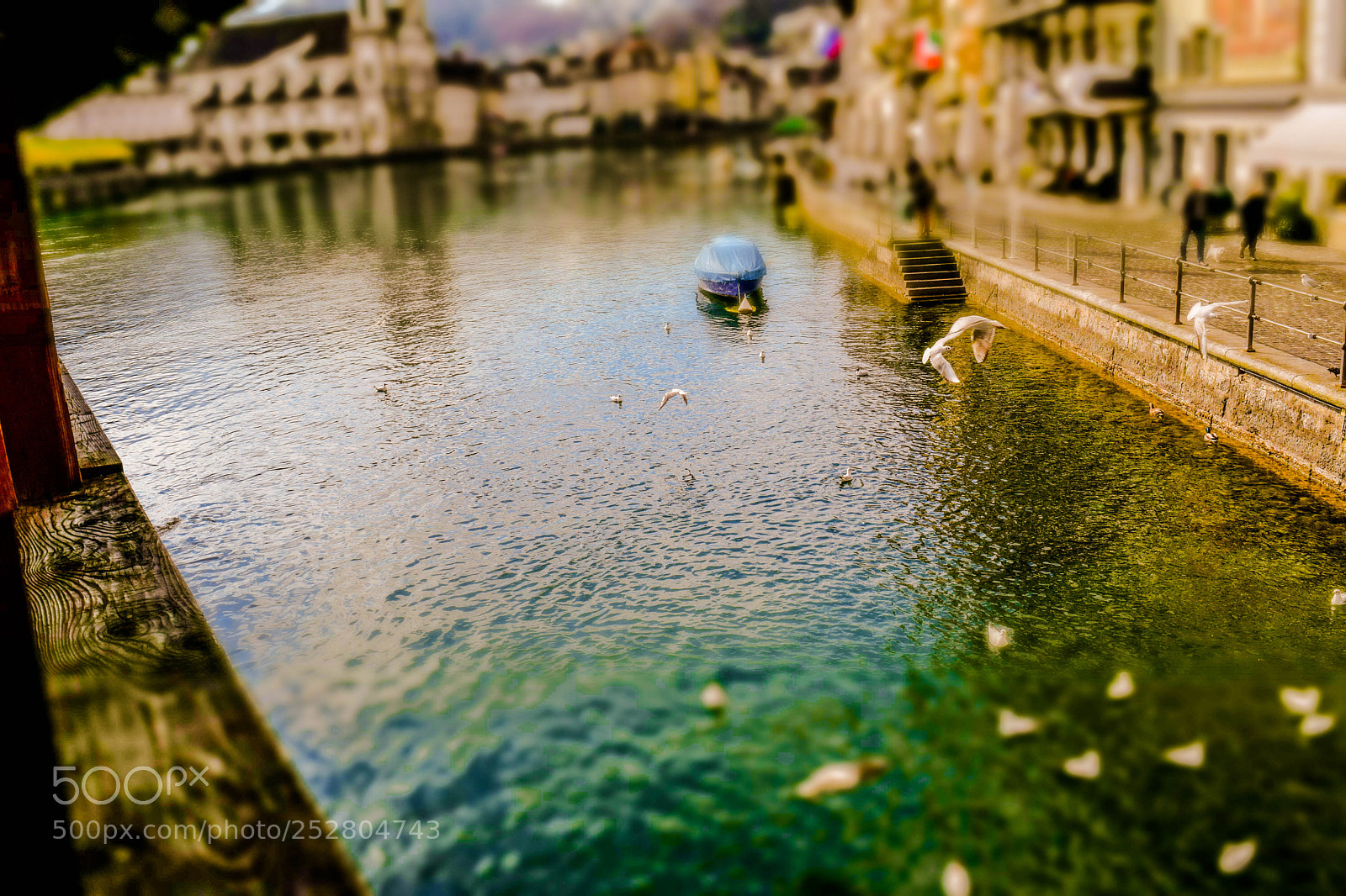 Nikon D5300 sample photo. Luzern switzerland photography