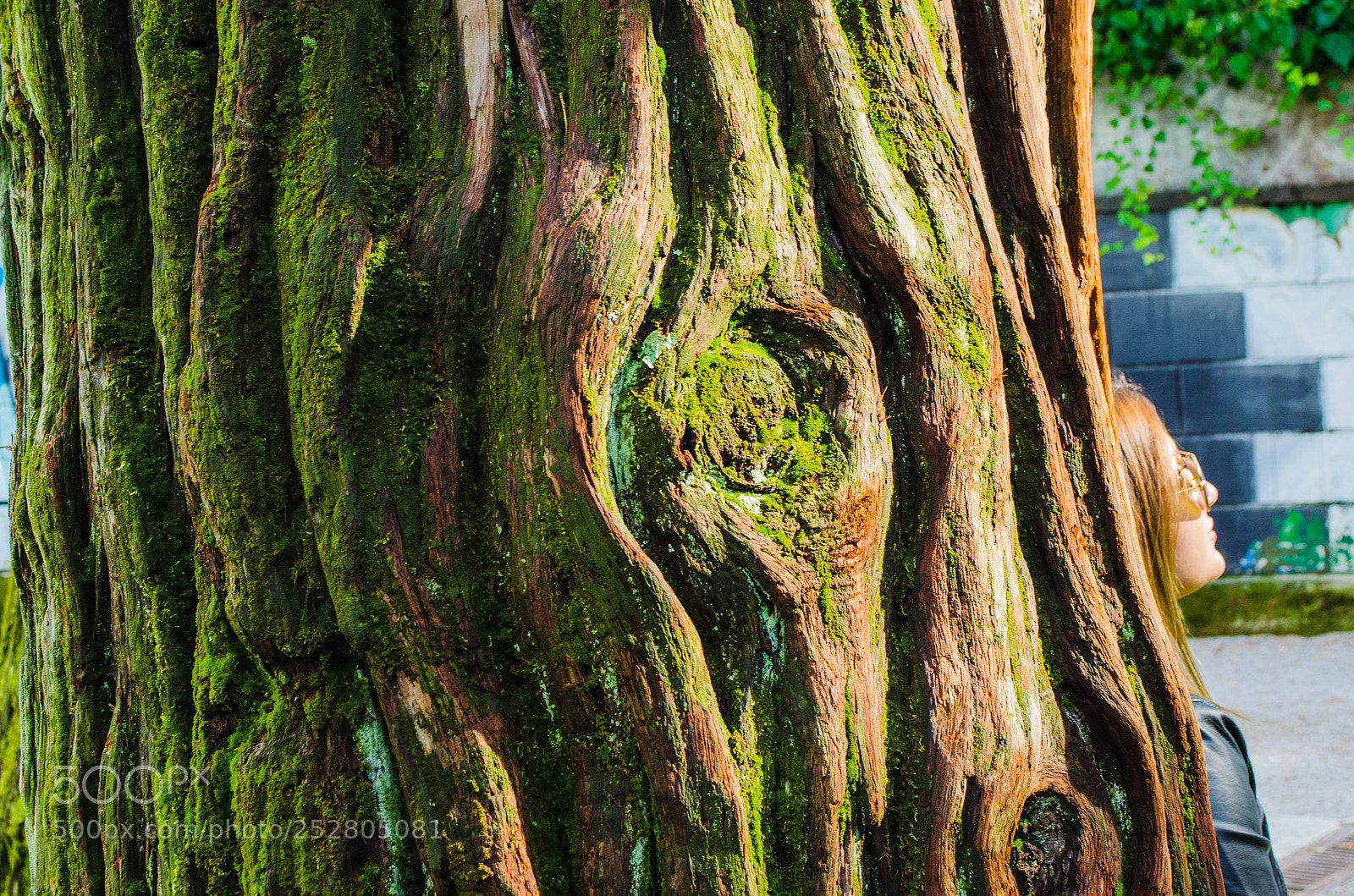 Nikon D5100 sample photo. Opatija photography