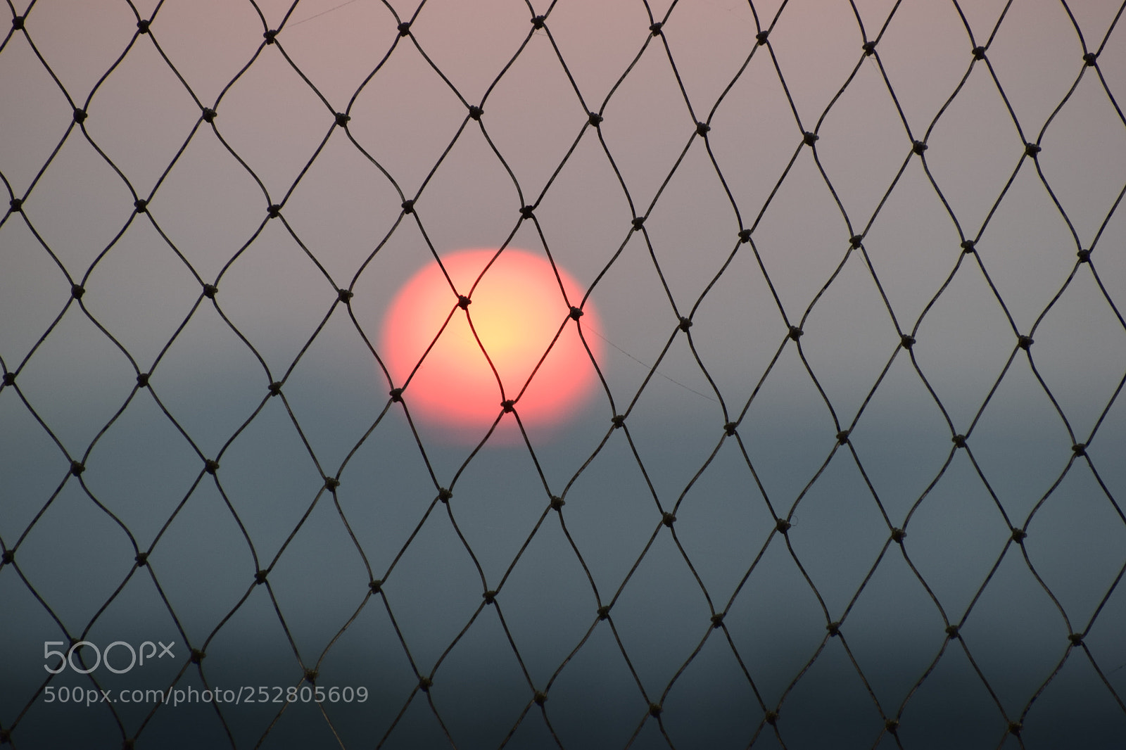 Nikon D5300 sample photo. Ameyzing photography