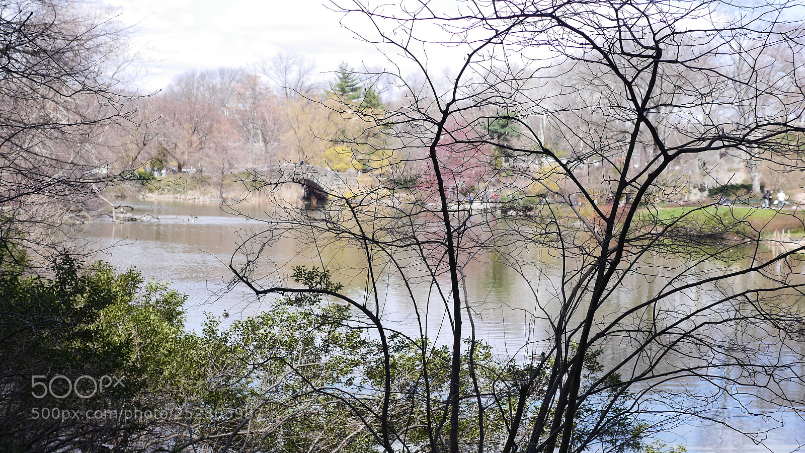 Panasonic Lumix DMC-GH3 sample photo. The pond photography