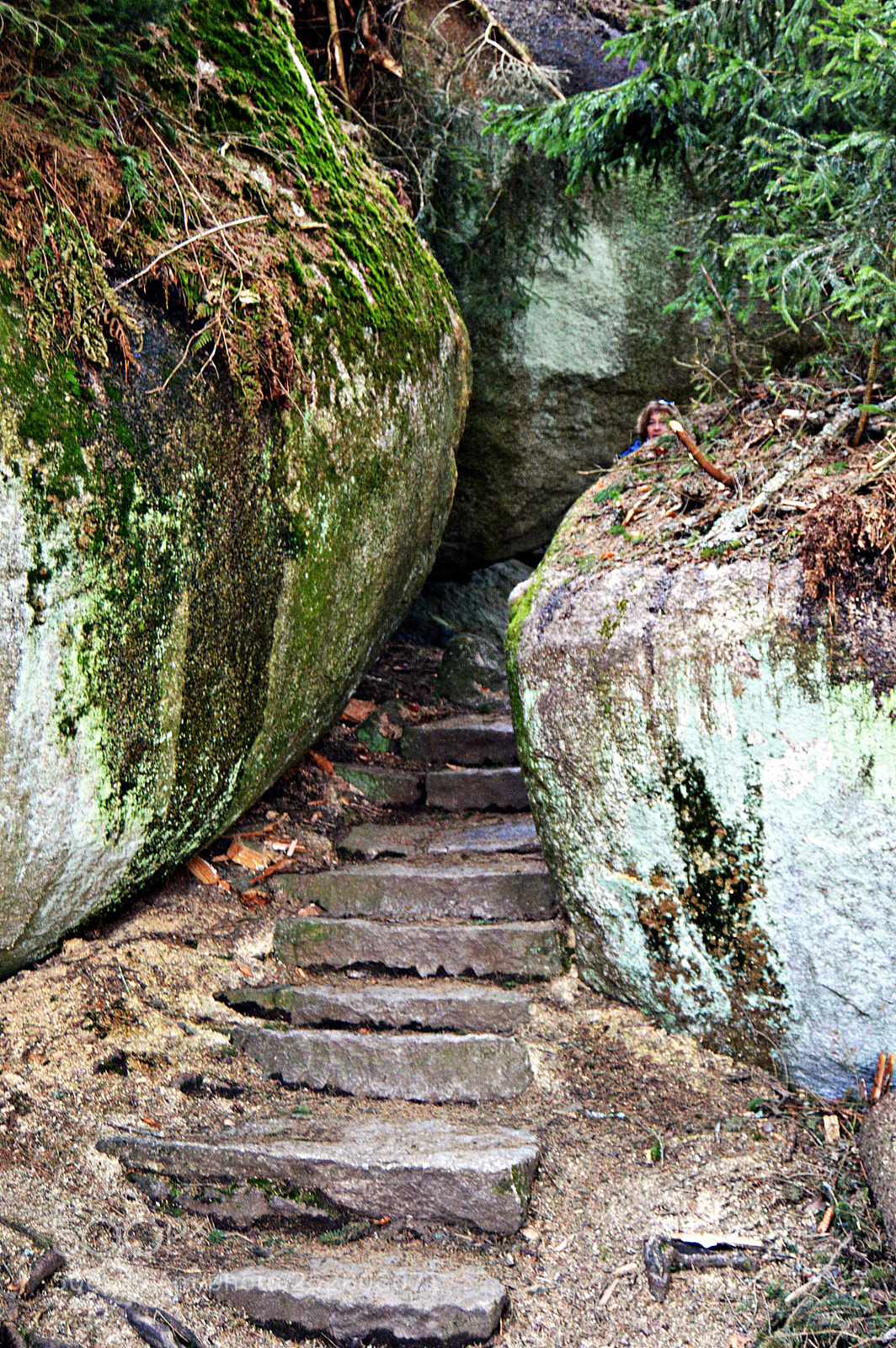 Nikon D3200 sample photo. Felsenlabyrinth wunsiedel photography