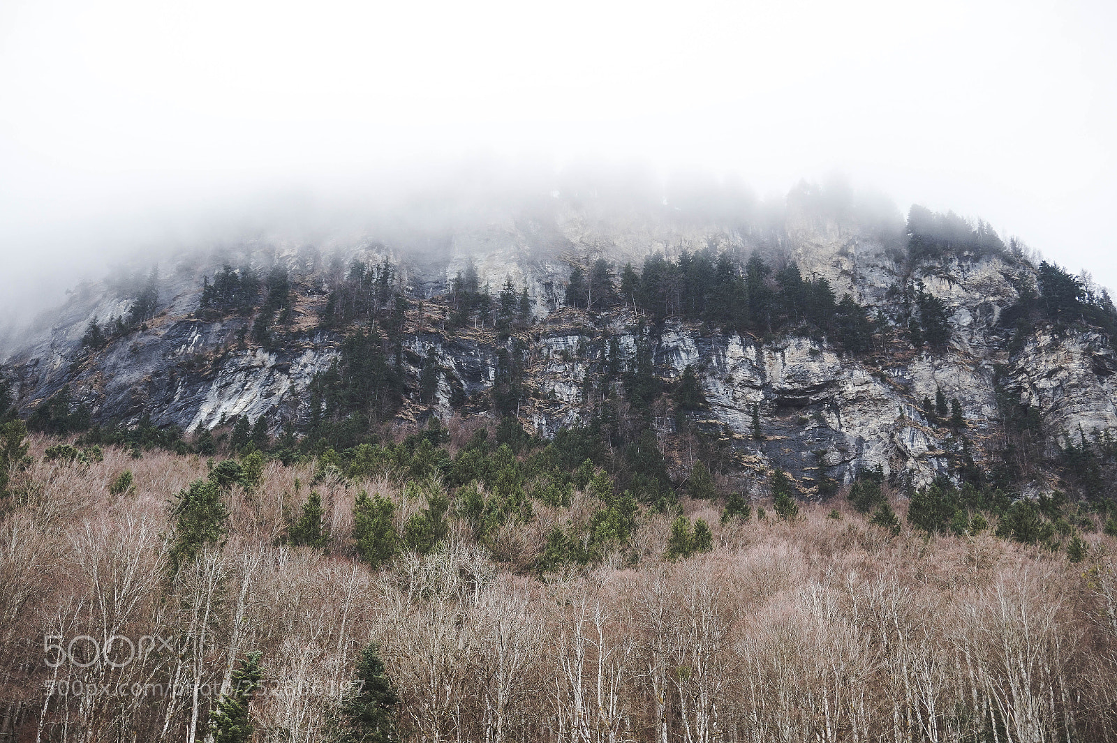 Sony Alpha a5000 (ILCE 5000) sample photo. Foggy peak photography