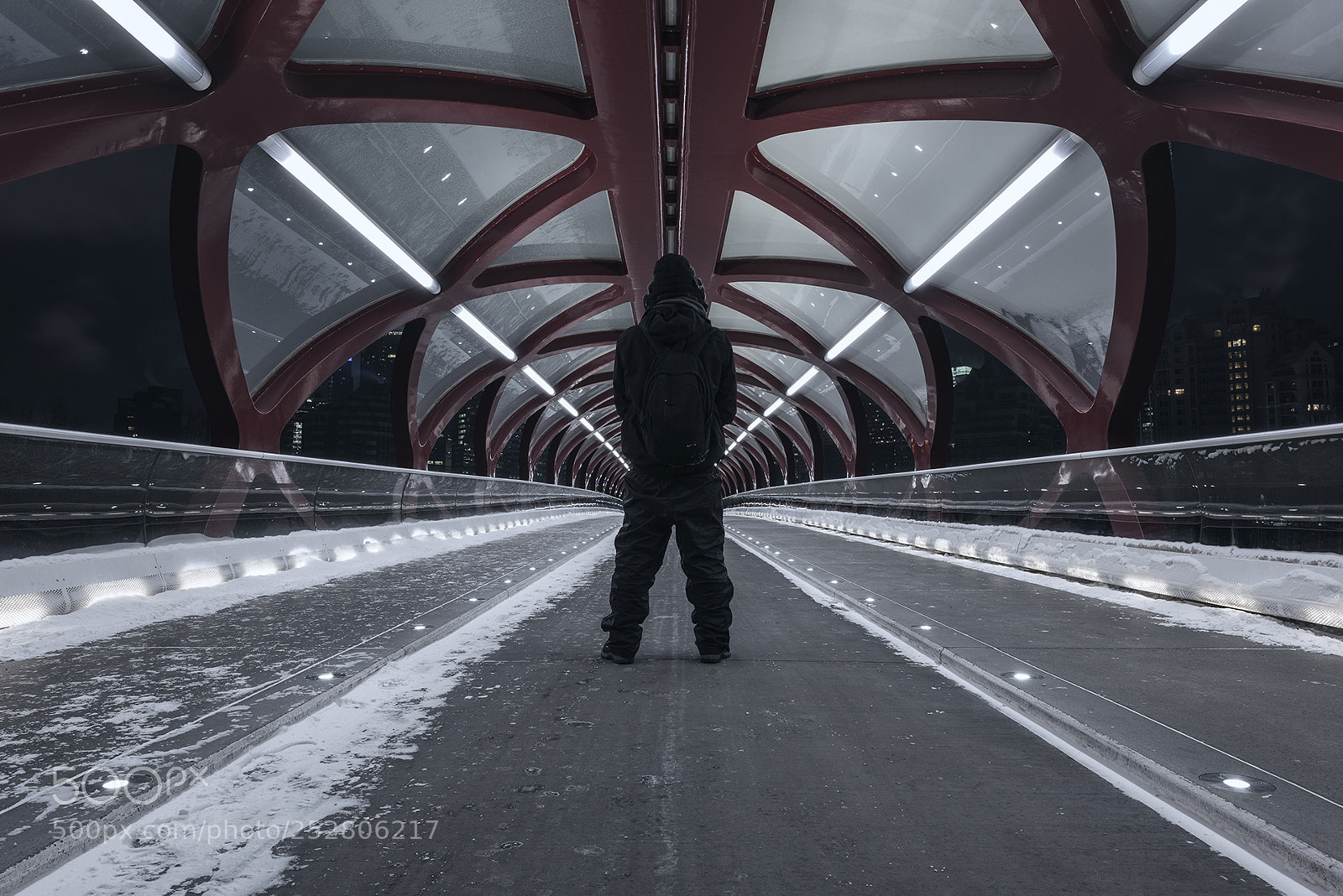 Nikon D810 sample photo. The bridge photography