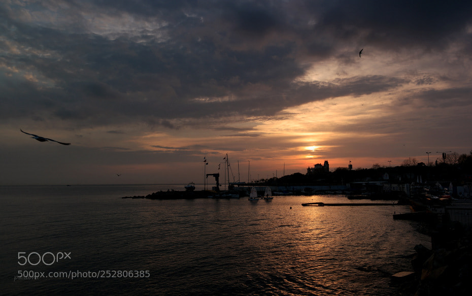 Samsung NX1 sample photo. ... photography