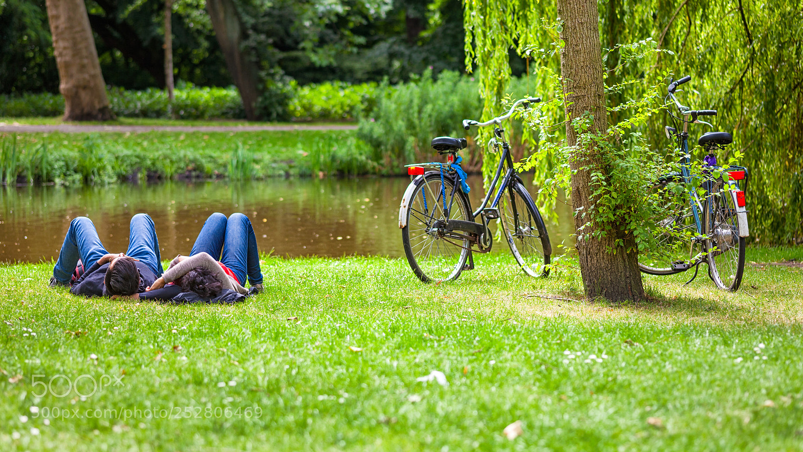 Canon EOS 5D Mark II sample photo. Relaxed couple on grass photography