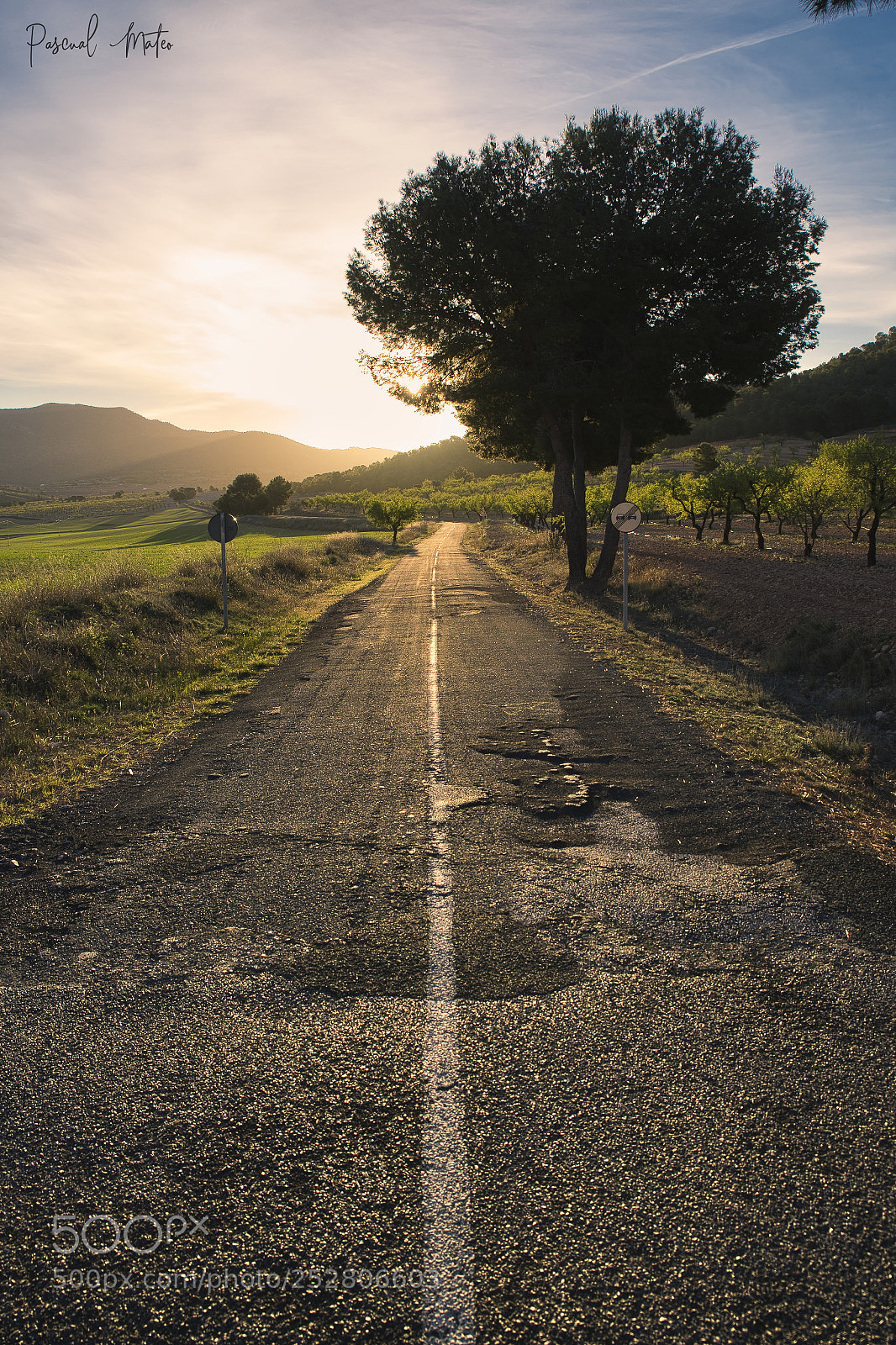 Nikon D610 sample photo. Punto de fuga carche photography