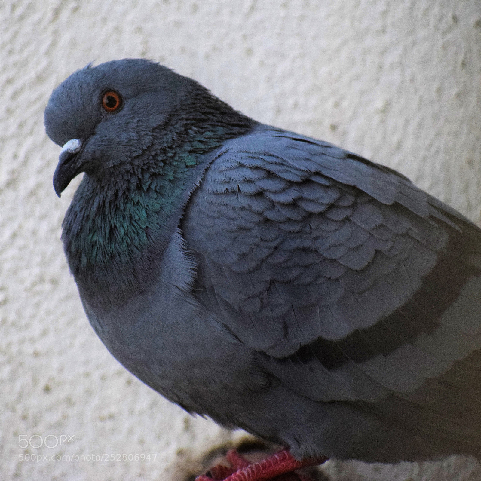 Nikon D5300 sample photo. Dsc photography