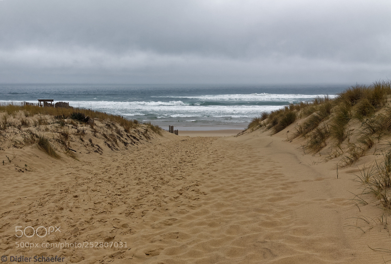 Canon EOS 50D sample photo. Rainy day photography