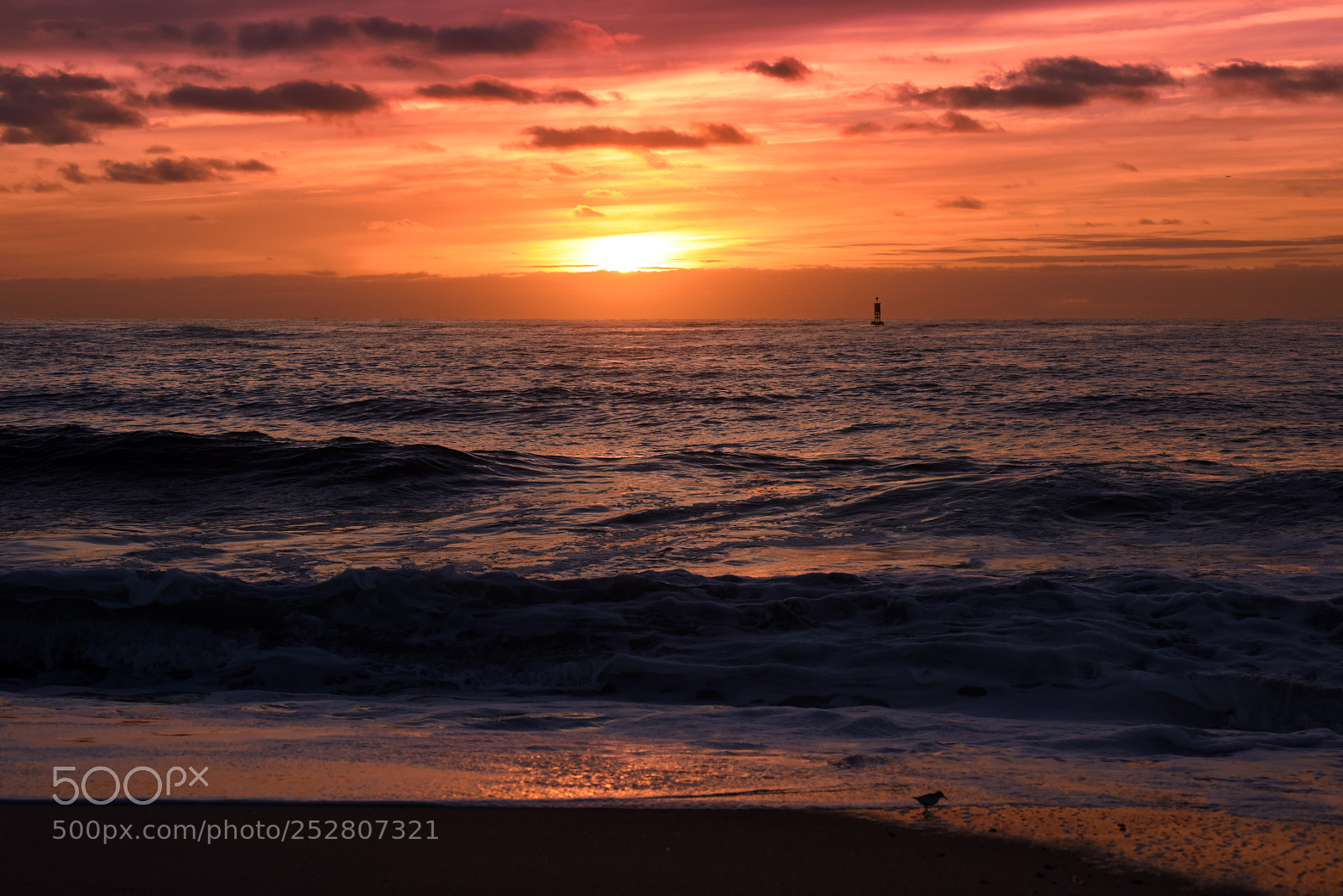 Nikon D810 sample photo. Sunrise photography