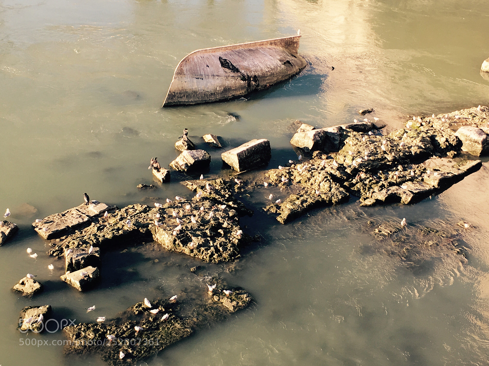 Apple iPhone SE sample photo. Boat overturned photography