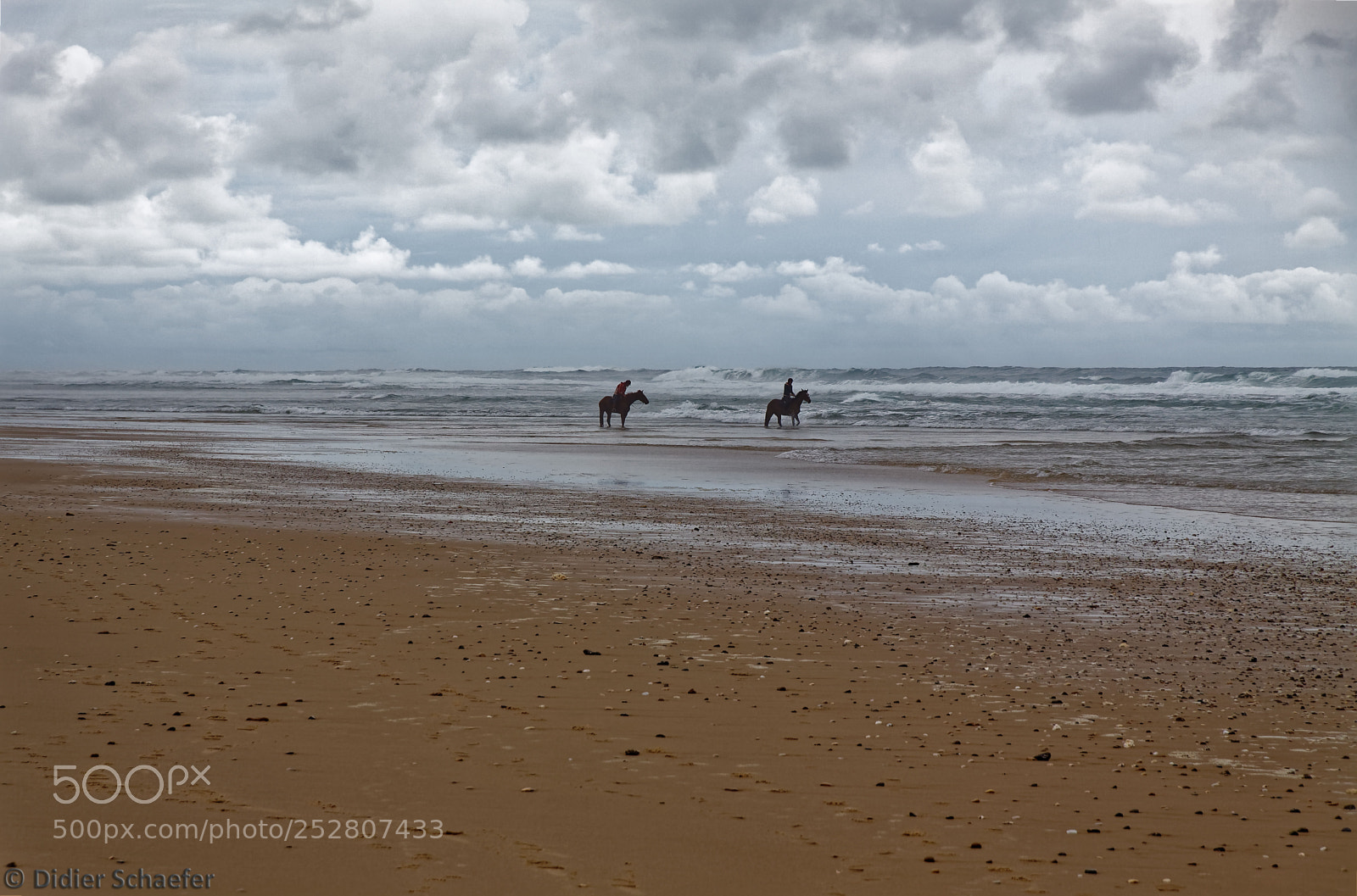 Canon EOS 50D sample photo. Horses vs ocean photography