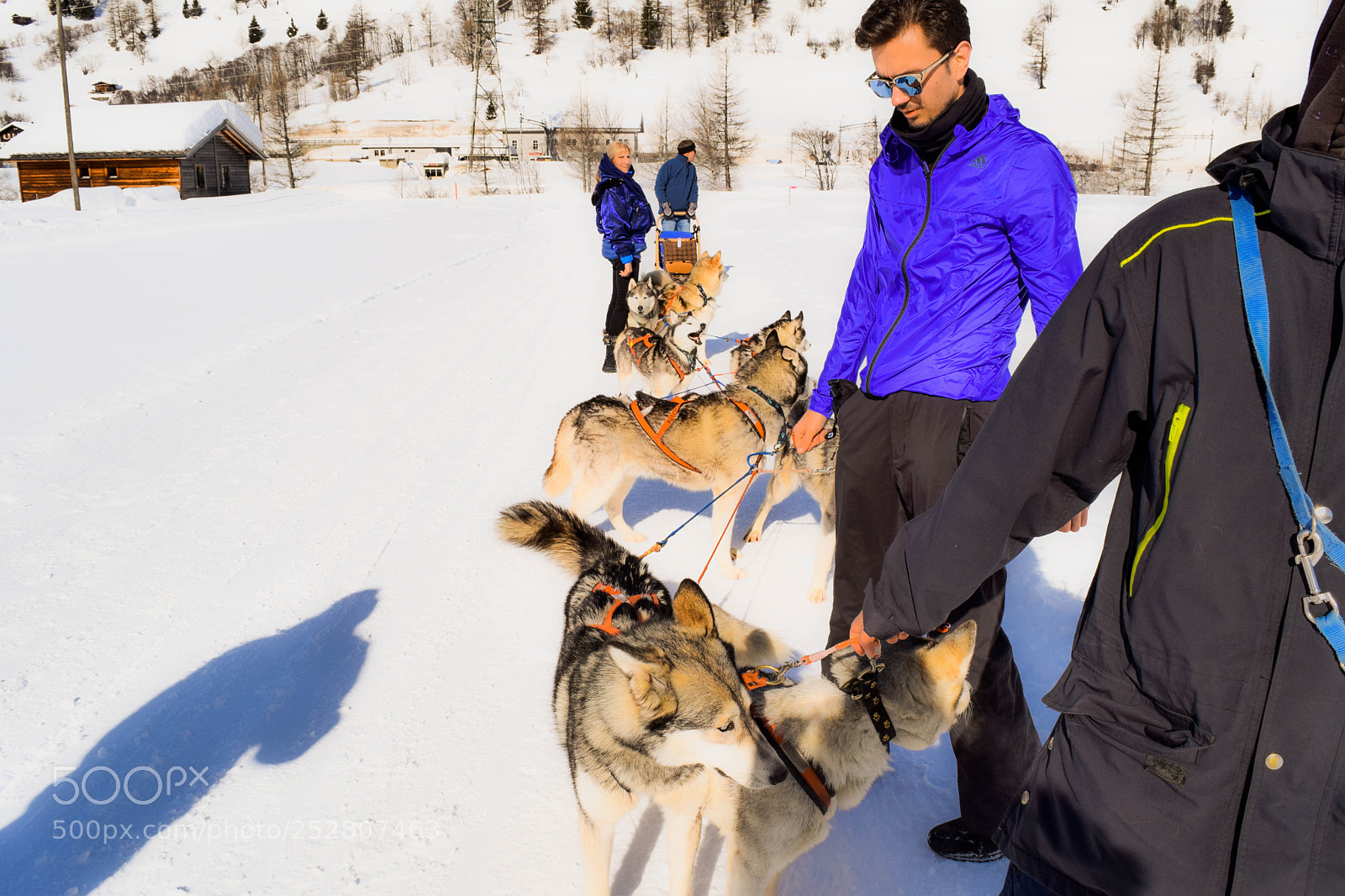 Nikon D5300 sample photo. St. moritz switzerland photography