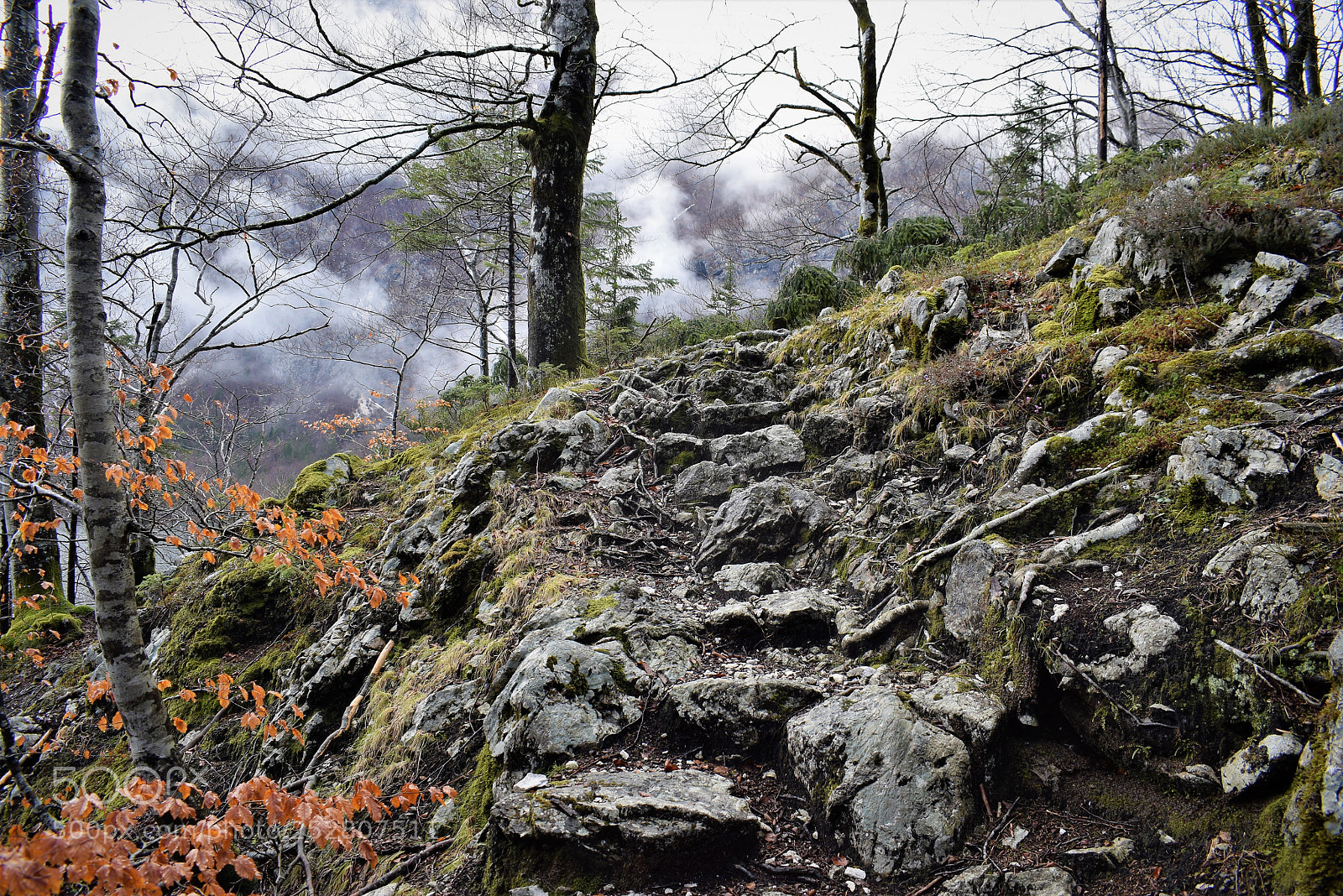 Nikon D5300 sample photo. Stone stairs photography