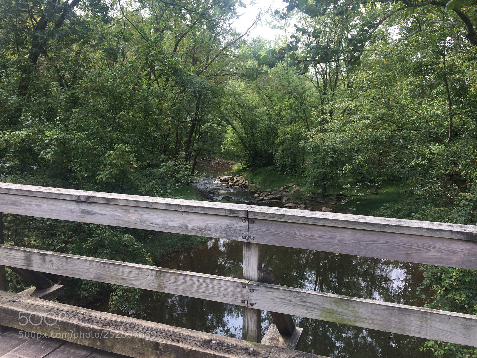 Apple iPhone 5s sample photo. Creek off the path photography