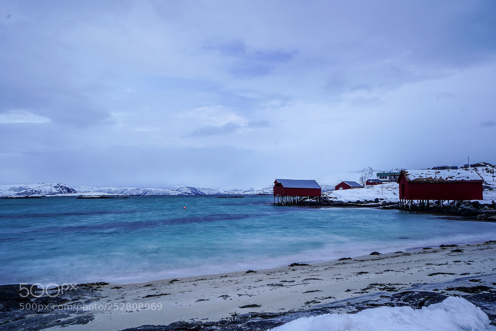 Sony a7R II sample photo. Untitled photography