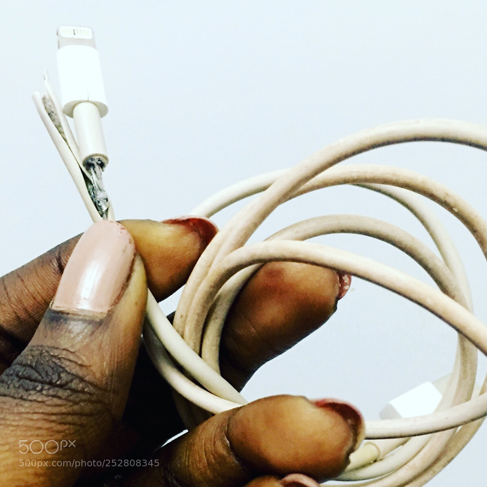 Apple iPhone 6s Plus sample photo. Untitled photography