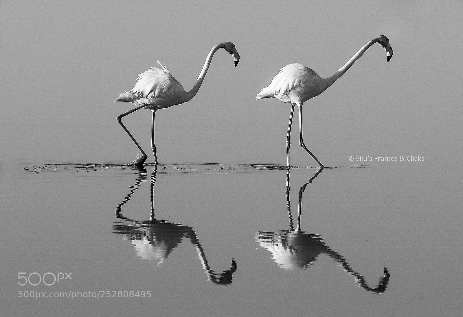 Canon EOS 5D Mark IV sample photo. Reflection, together with..... photography