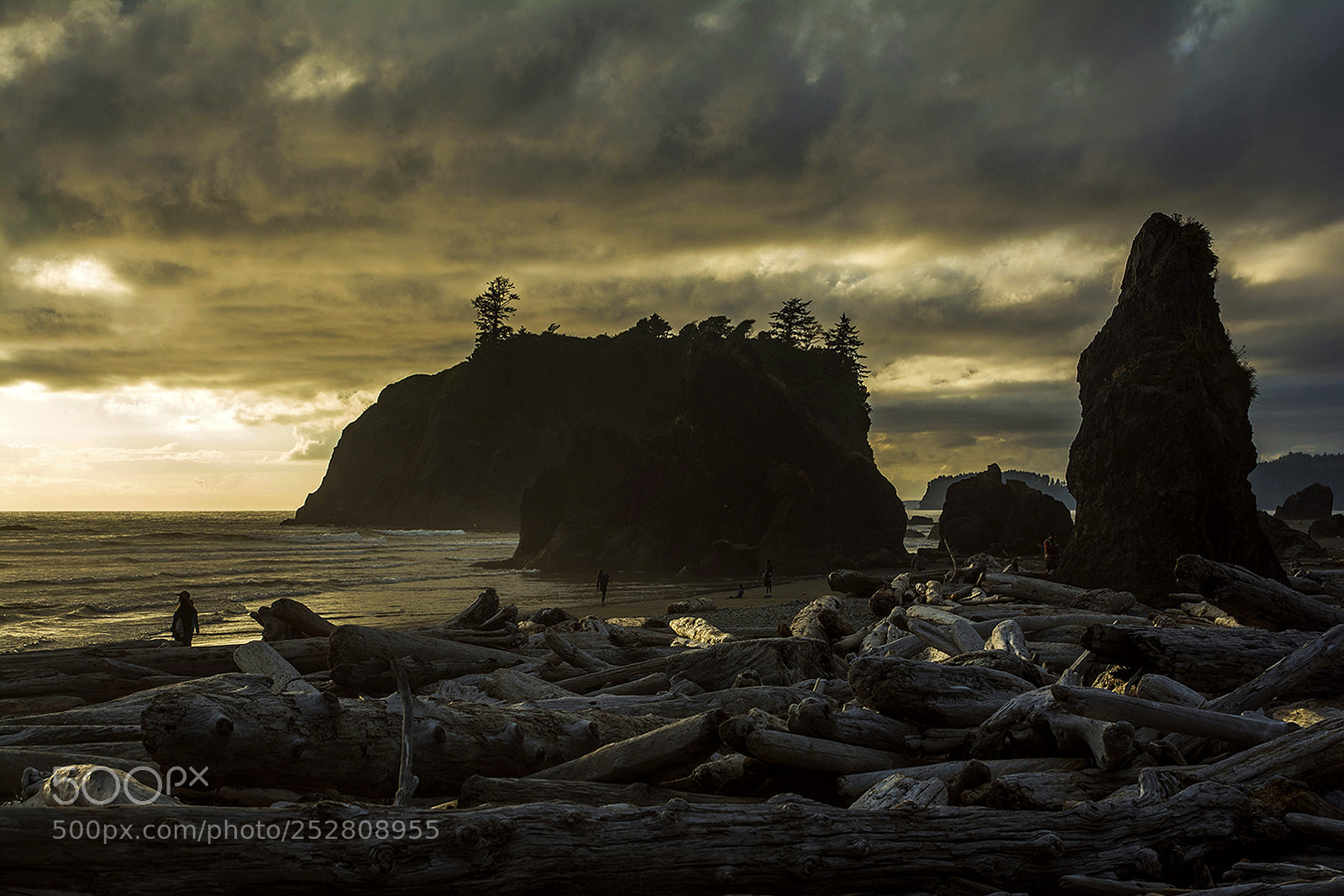 Nikon D7100 sample photo. Ruby beach photography
