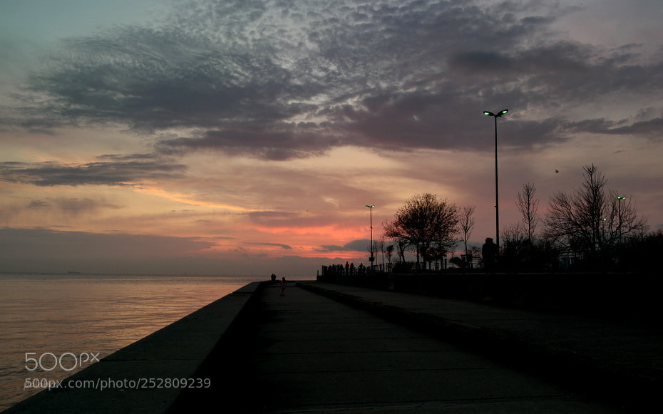 Samsung NX1 sample photo. ... photography
