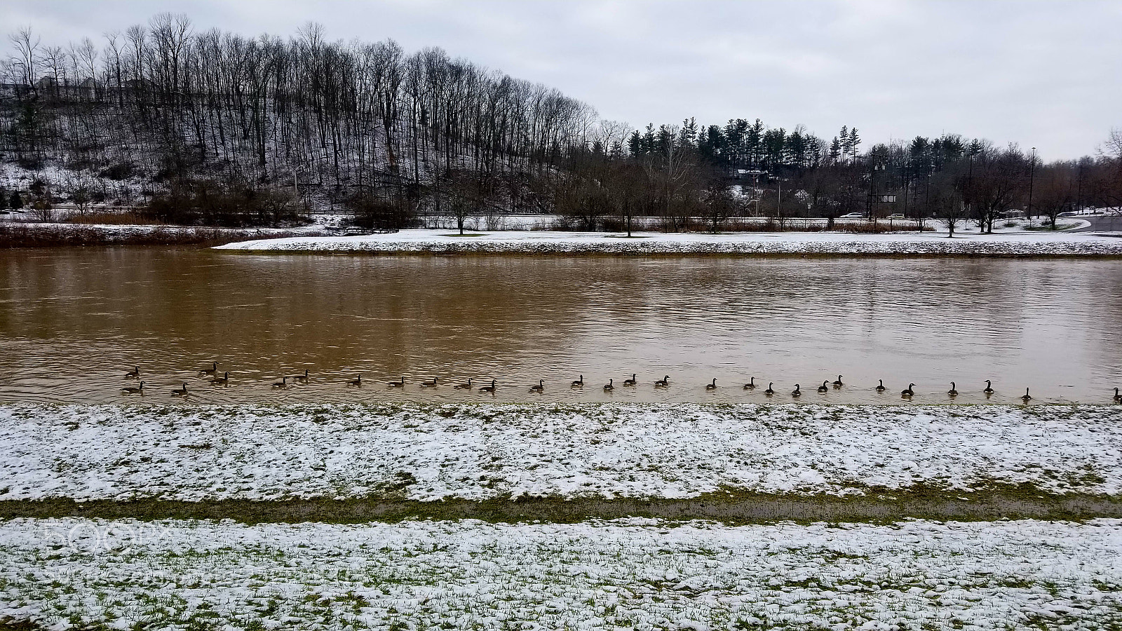 Samsung Galaxy S8 sample photo. Flooded photography