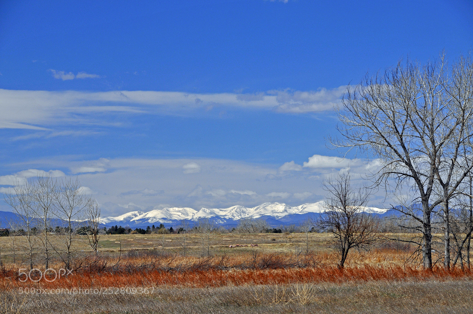 Nikon D300 sample photo. Early spring view photography