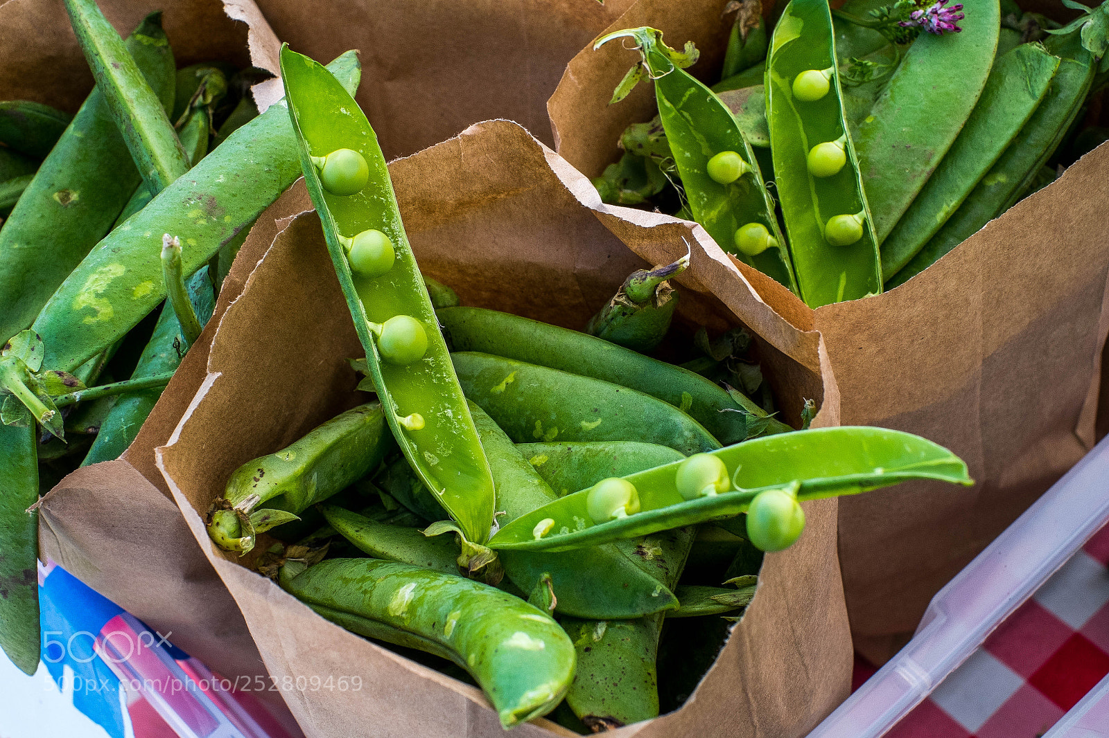 Fujifilm X-Pro1 sample photo. Fresh peas photography