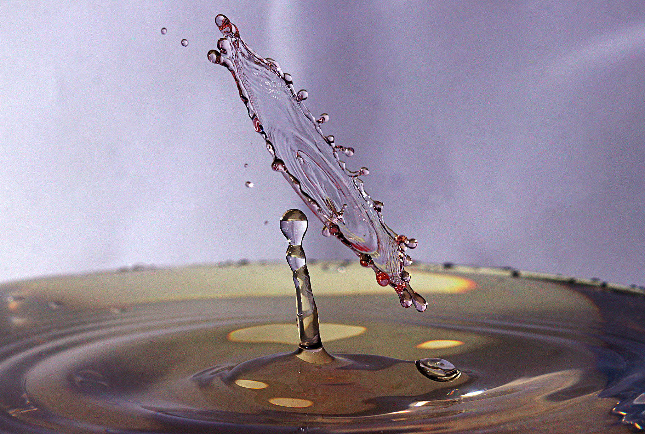 Canon EF 100mm F2.8 Macro USM sample photo. Water drop photography