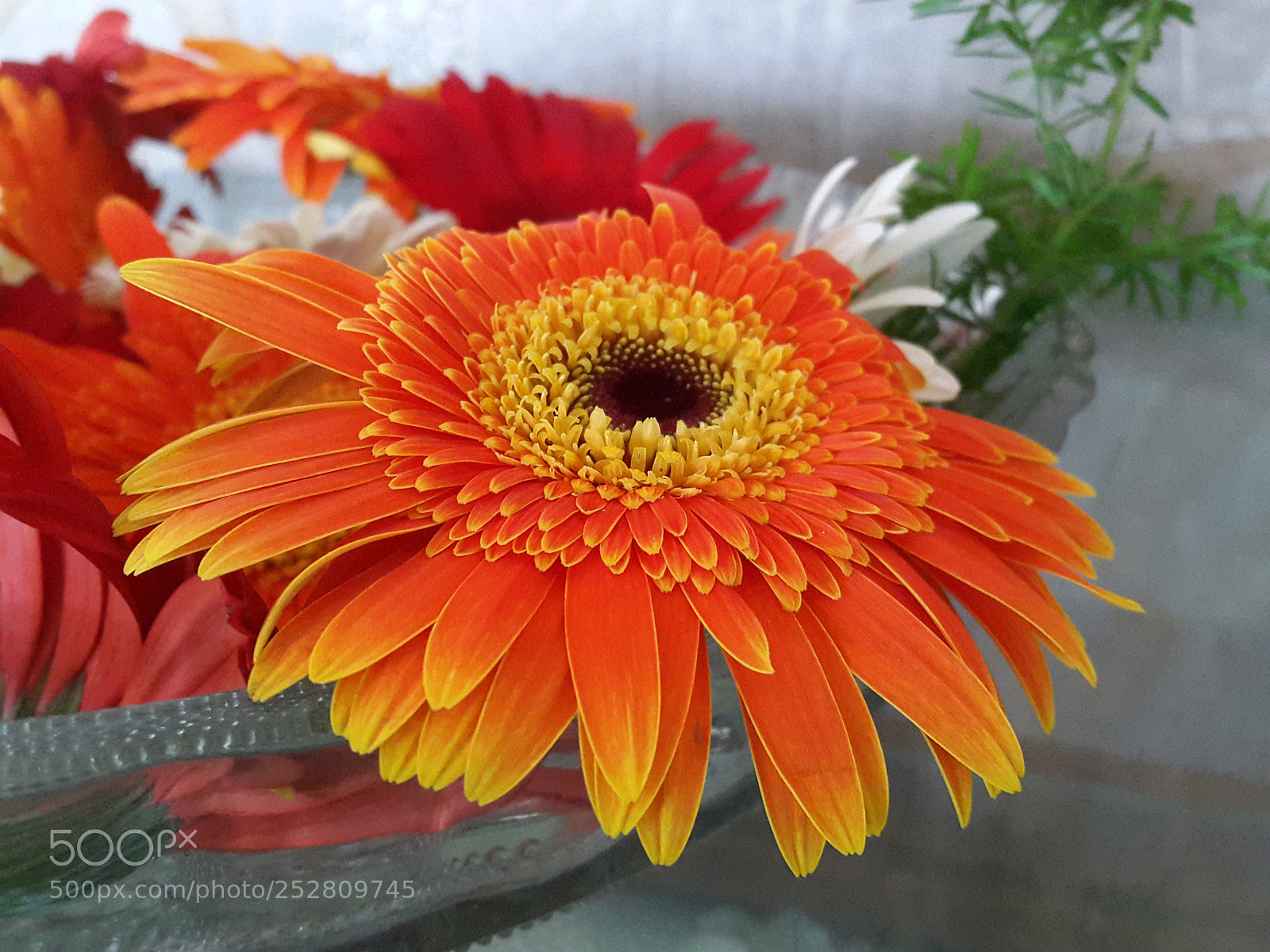 Samsung Galaxy S5 sample photo. Zarbera photography