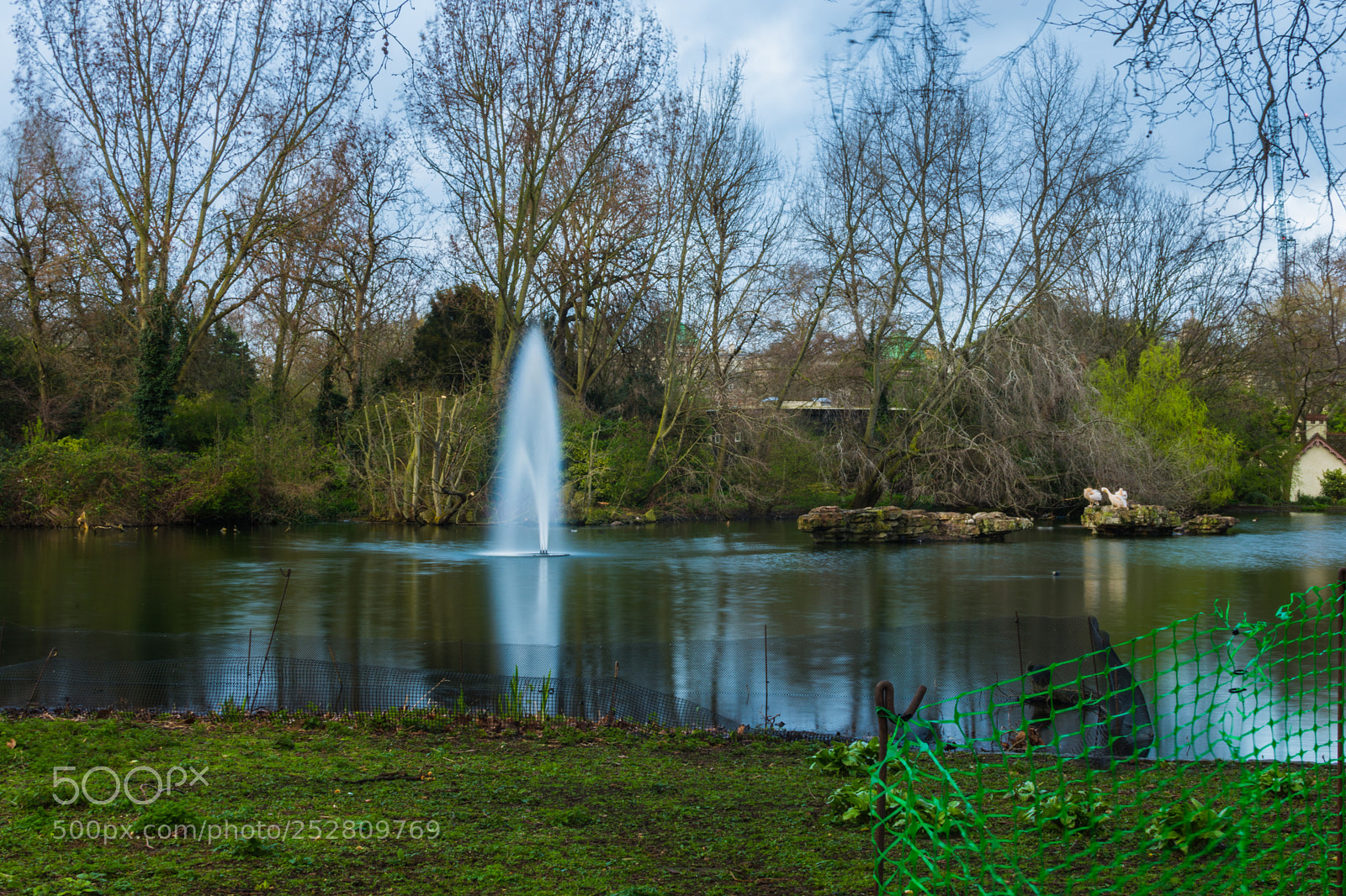 Nikon D7200 sample photo. Capturing one of the photography