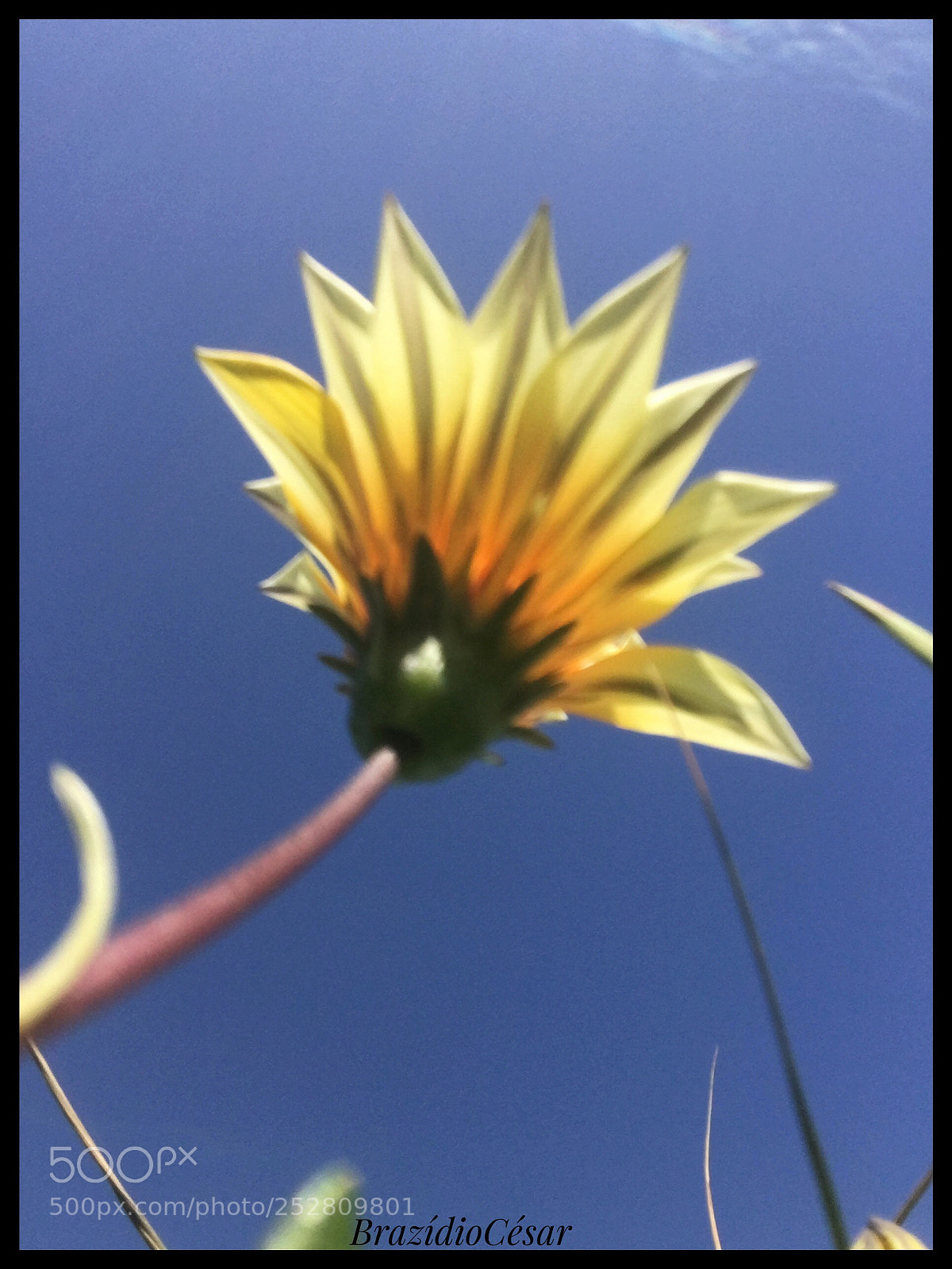 Apple iPhone 6s sample photo. Untitled photography