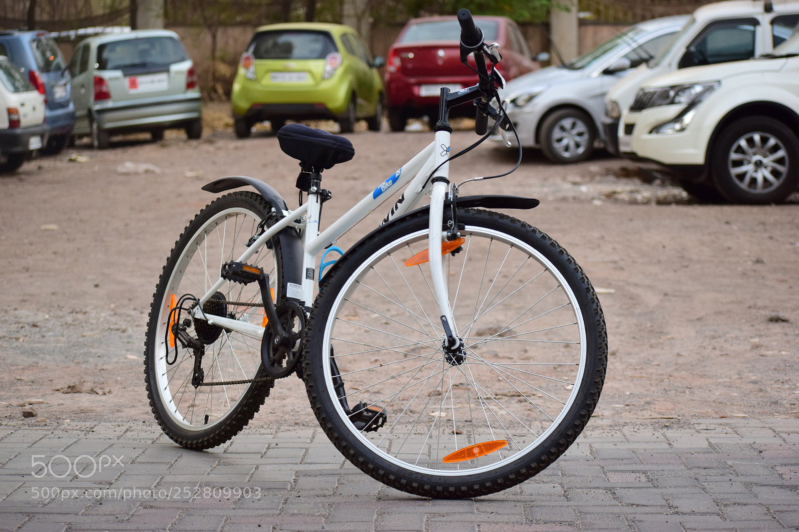 Nikon D5300 sample photo. Ameyzing photography
