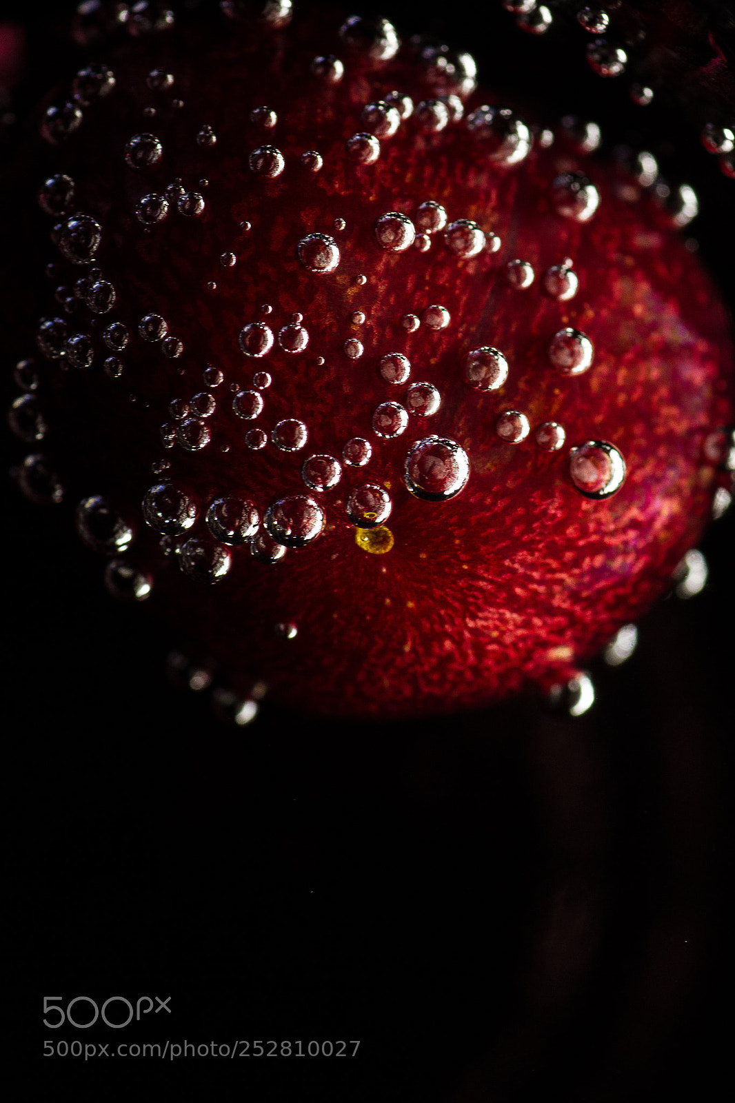 Canon EOS 7D sample photo. A bubbly cherry. photography