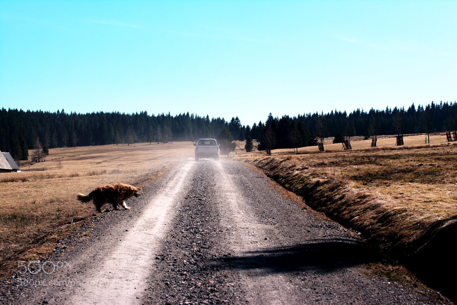 Nikon D5200 sample photo. In the middle of photography