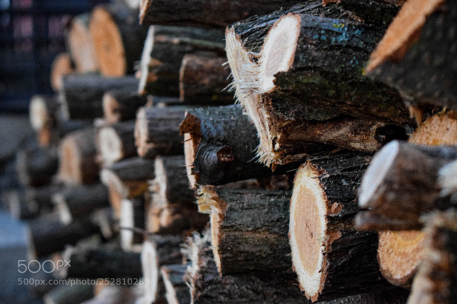 Nikon D3300 sample photo. Firewood photography