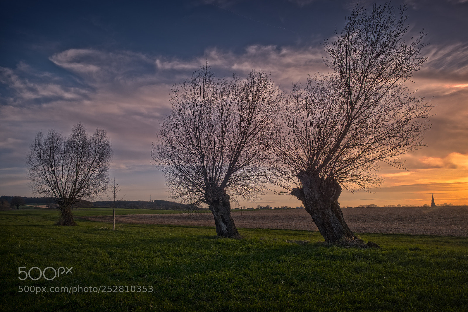 Fujifilm X-T1 sample photo. Three times tree photography