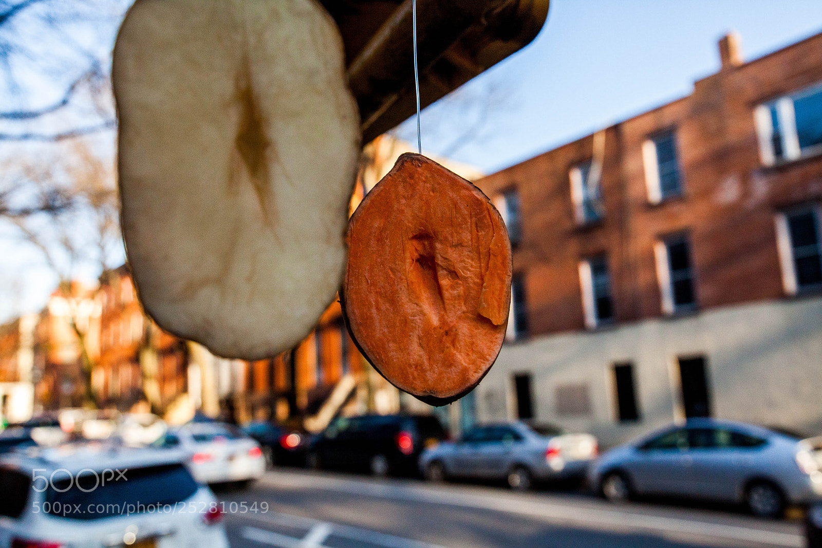 Canon EOS 5D Mark II sample photo. Potato potato photography