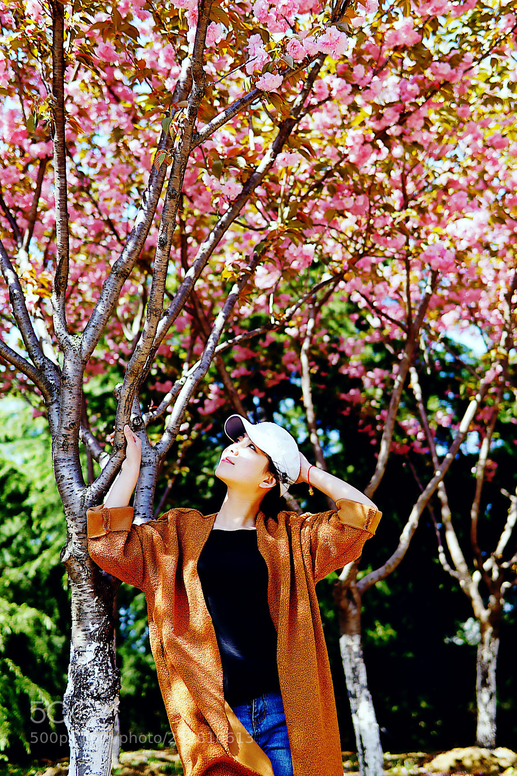 Sony a6000 sample photo. 乱花渐入迷人眼 photography