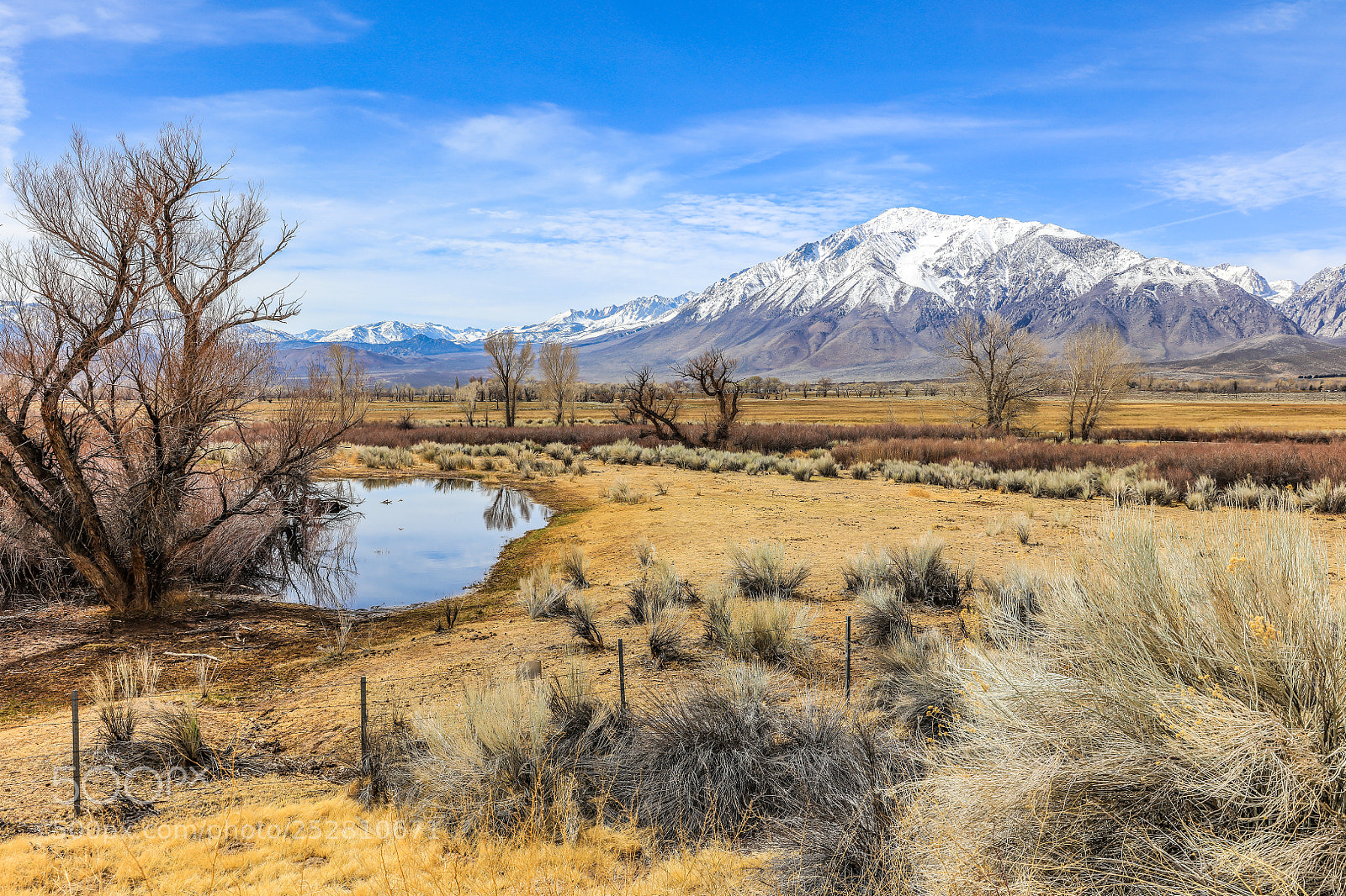 Canon EOS 5DS R sample photo. Farm lake in the photography